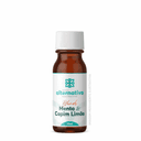 Blend para Raciocínio – Menta & Capim Limão 10ml