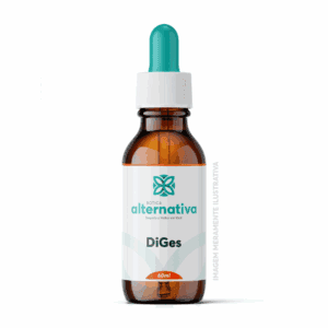 DiGes – Digestão na Gestação 60ml