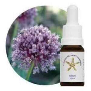 Floral de Saint Germain Allium – Essência Estoque 10mL