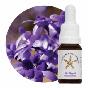 Floral de Saint Germain São Miguel – Essência Estoque 10mL