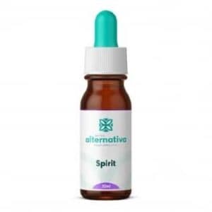Floral Saint Germain – Spirit – Espiritualidade e Meditação 30mL Sem álcool
